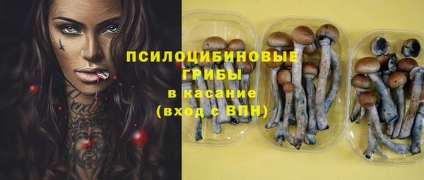 mix Новокубанск