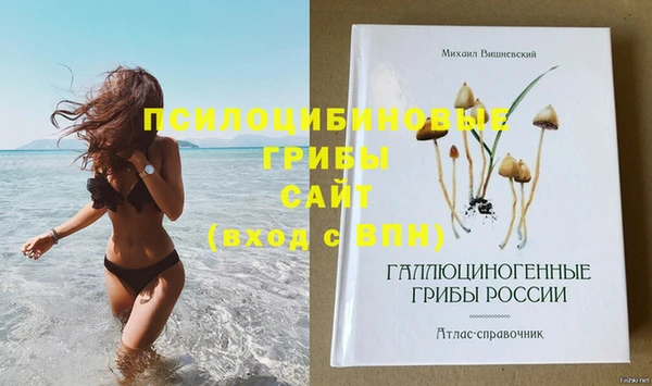 mix Новокубанск
