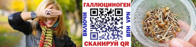 Псилоцибиновые грибы мицелий  hydra ссылки  Ак-Довурак 